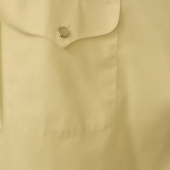 Western Pearl Snap Shirt - Picture 3 of 7